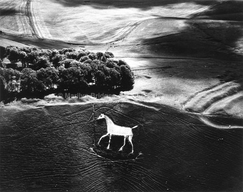 Cherhill Horse, Wiltshire, England, 1985. Europe North. copyright photographer Marilyn Bridges
