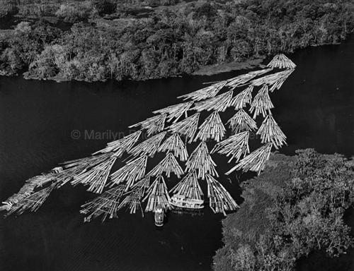 Logging on Amazon River, Manaus, Brazil, 1993. Latin America. copyright photographer Marilyn Bridges