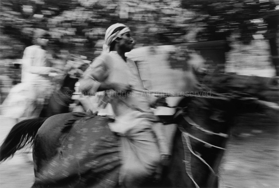 Fast Horse and Rider, Sonepur Mela, 1993. India. copyright photographer Marilyn Bridges