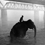 Mahout Riding Elephant in Gandak River at Dawn, 1993. India. copyright photographer Marilyn Bridges 